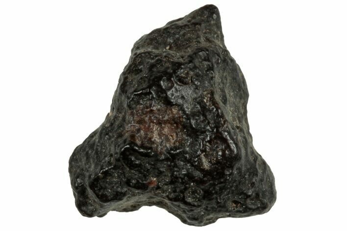 Abadla CM Chondrite Meteorite ( g) - Algeria #313094